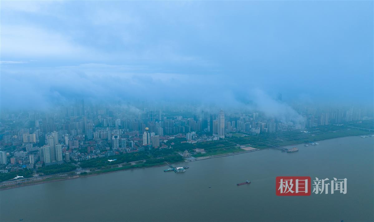银河奇异果电脑版下载